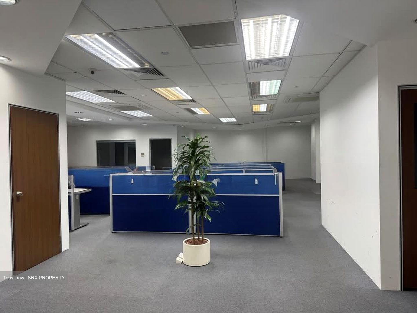 Toh Tuck Link (D21), Office #588635551